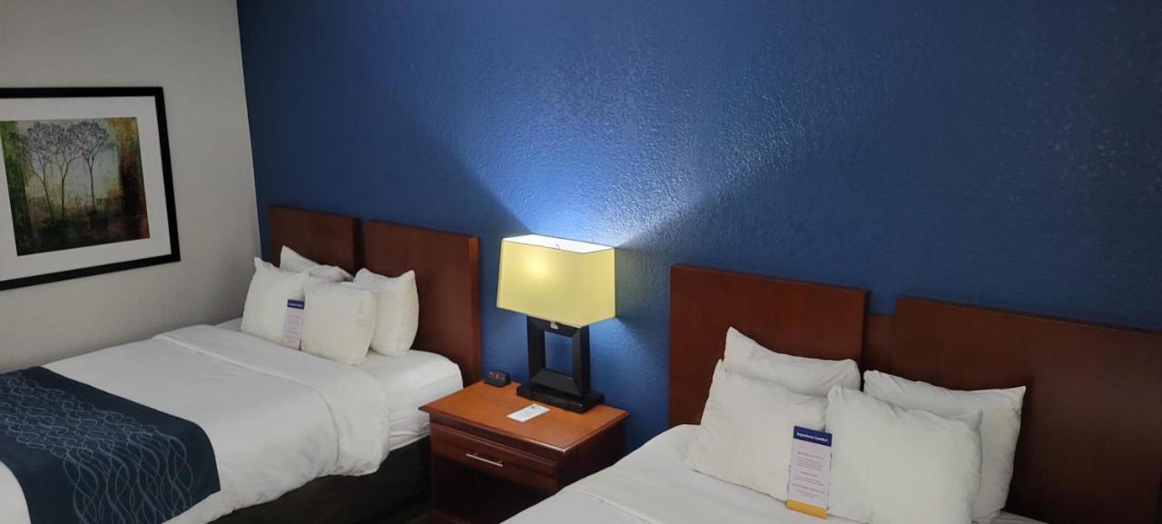 Comfort Inn Alpharetta-Atlanta North מראה חיצוני תמונה